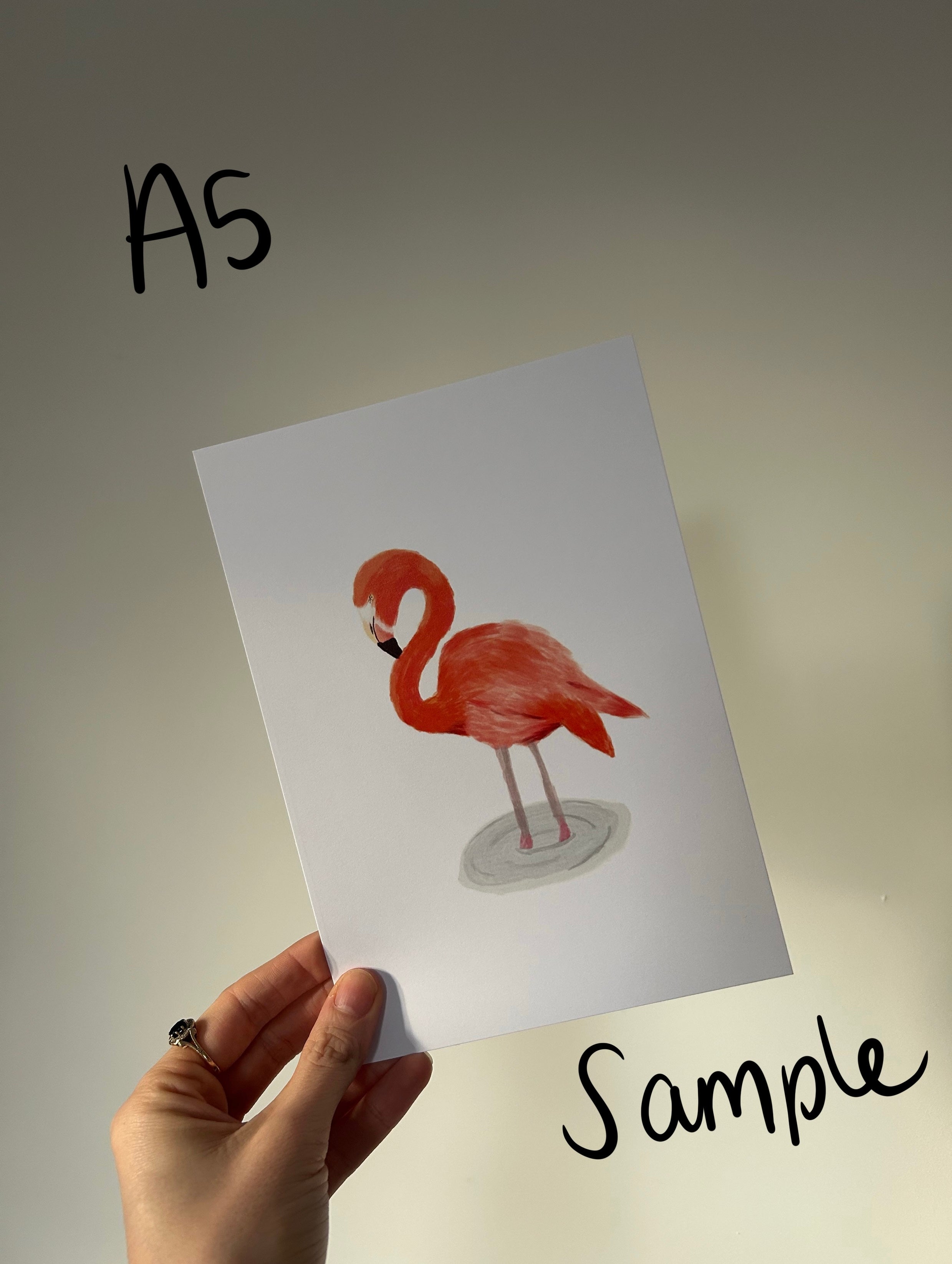Seconds & Sample Sale