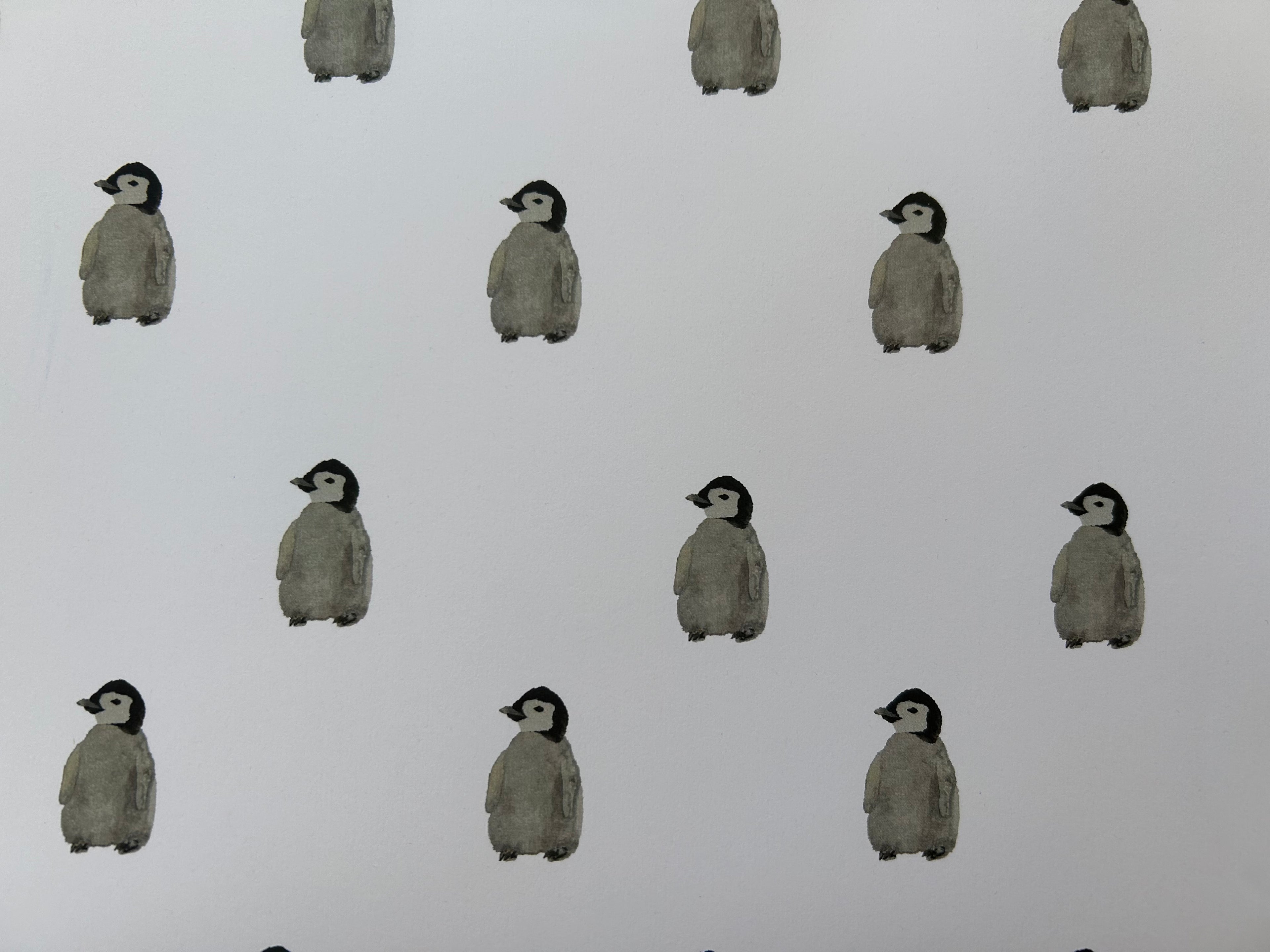 Wrapping Paper Sheets