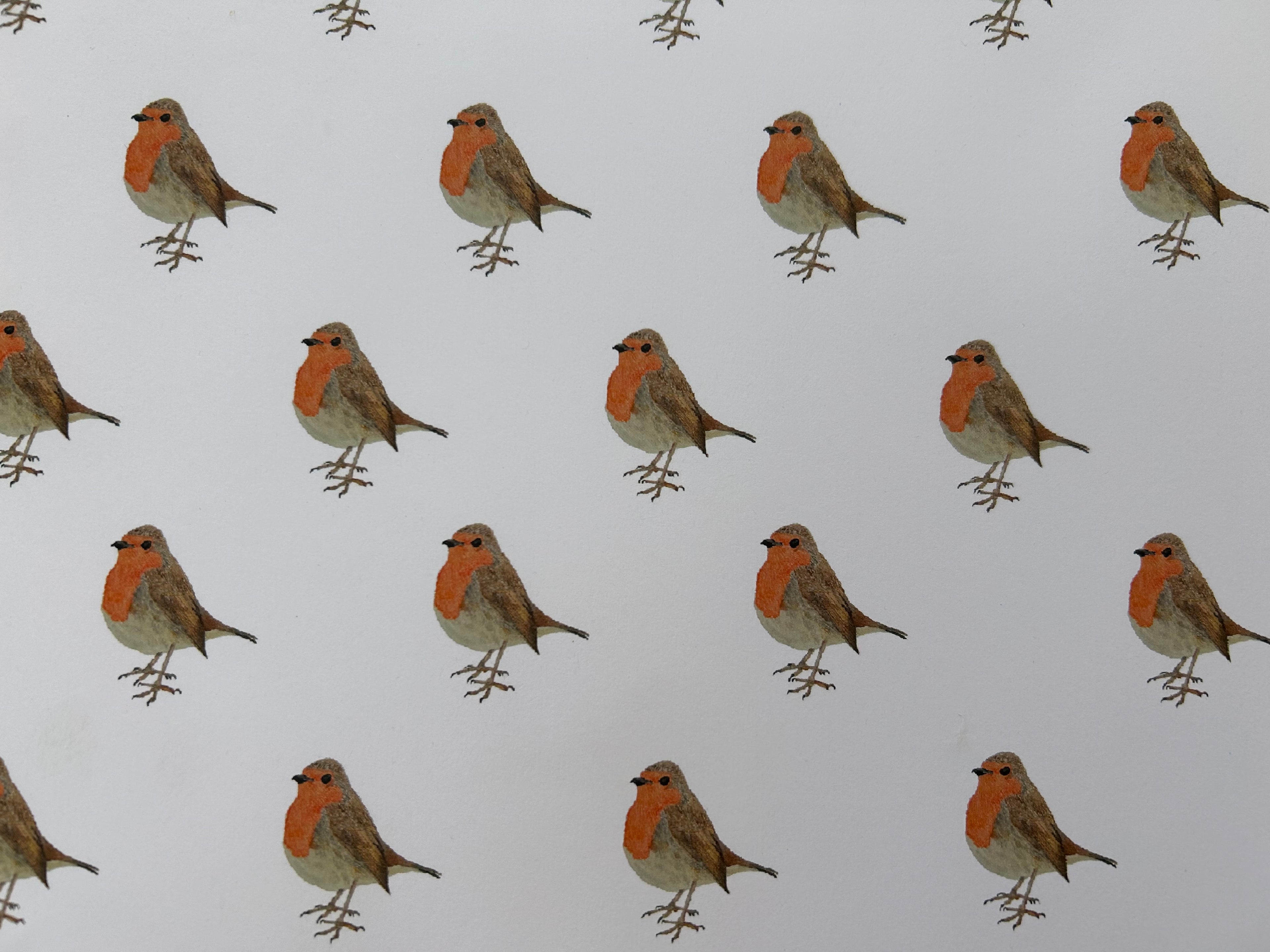 Wrapping Paper Sheets