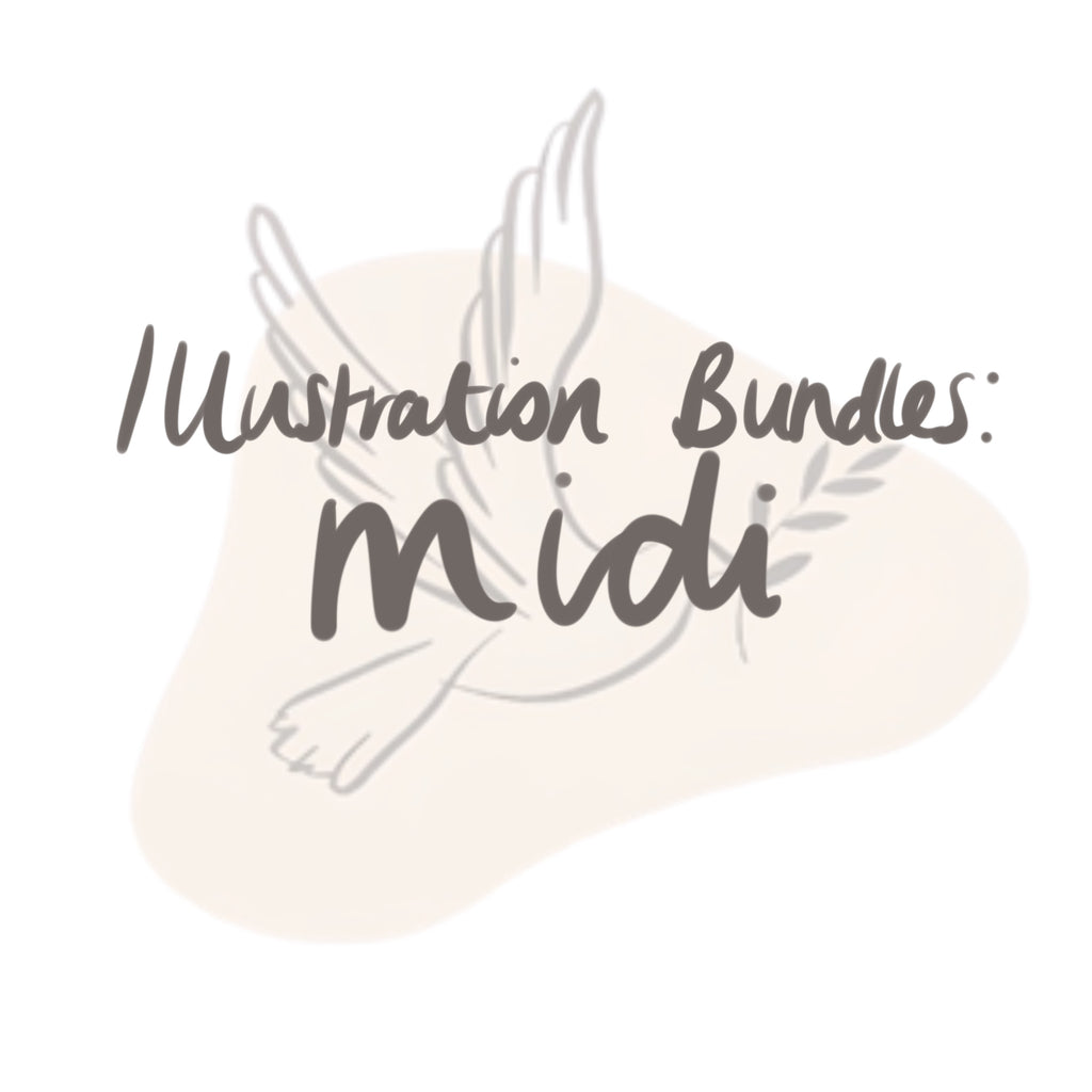 Midi Illustration Package