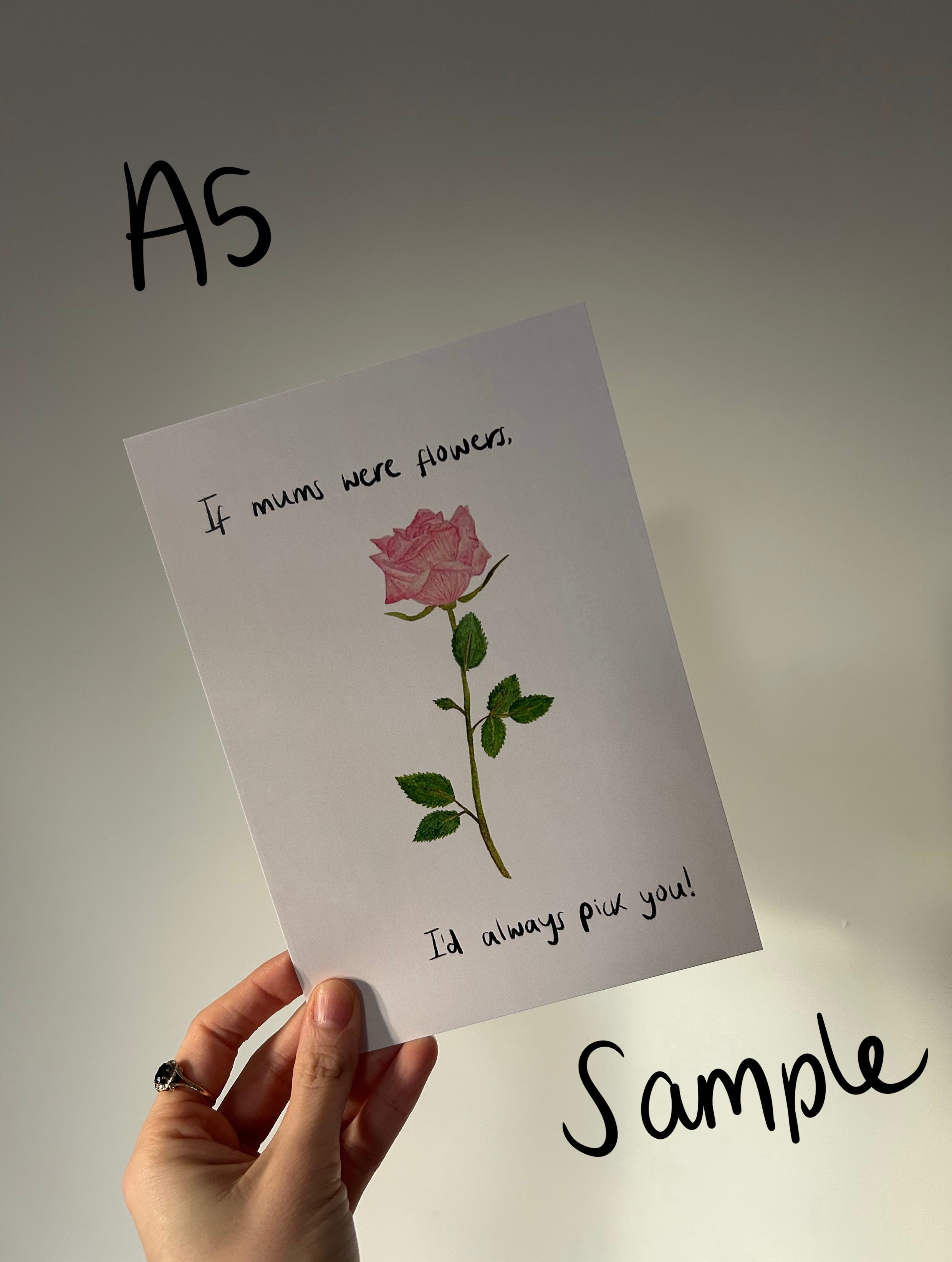 Seconds & Sample Sale