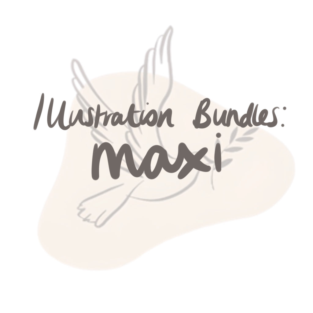 Maxi Illustration Package