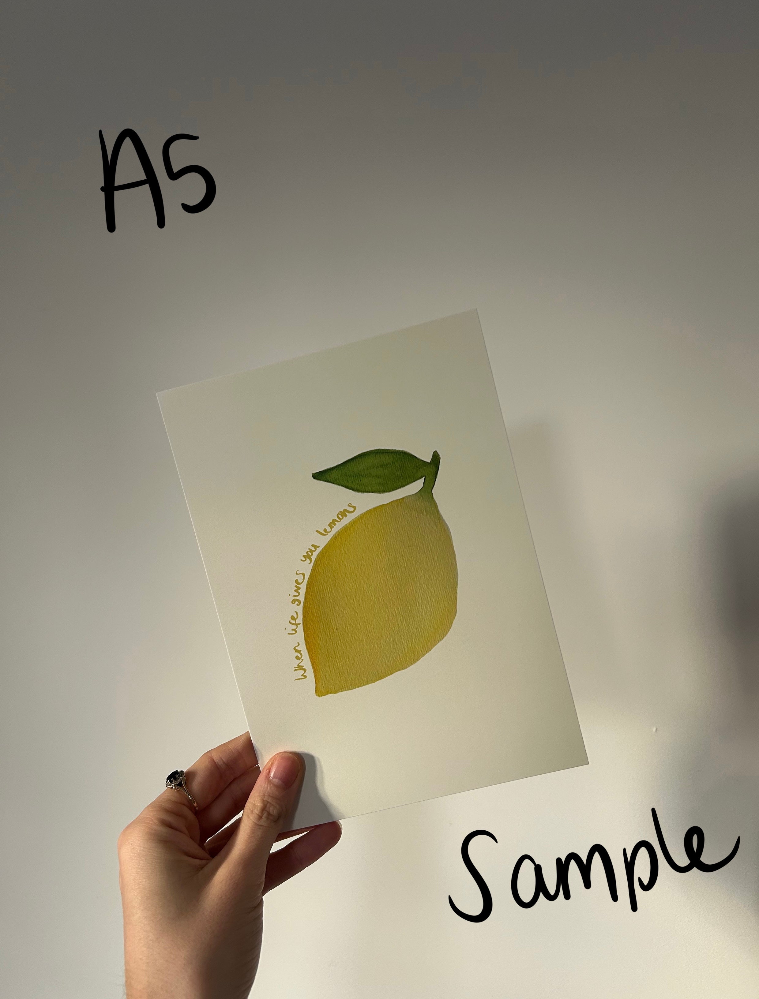 Seconds & Sample Sale