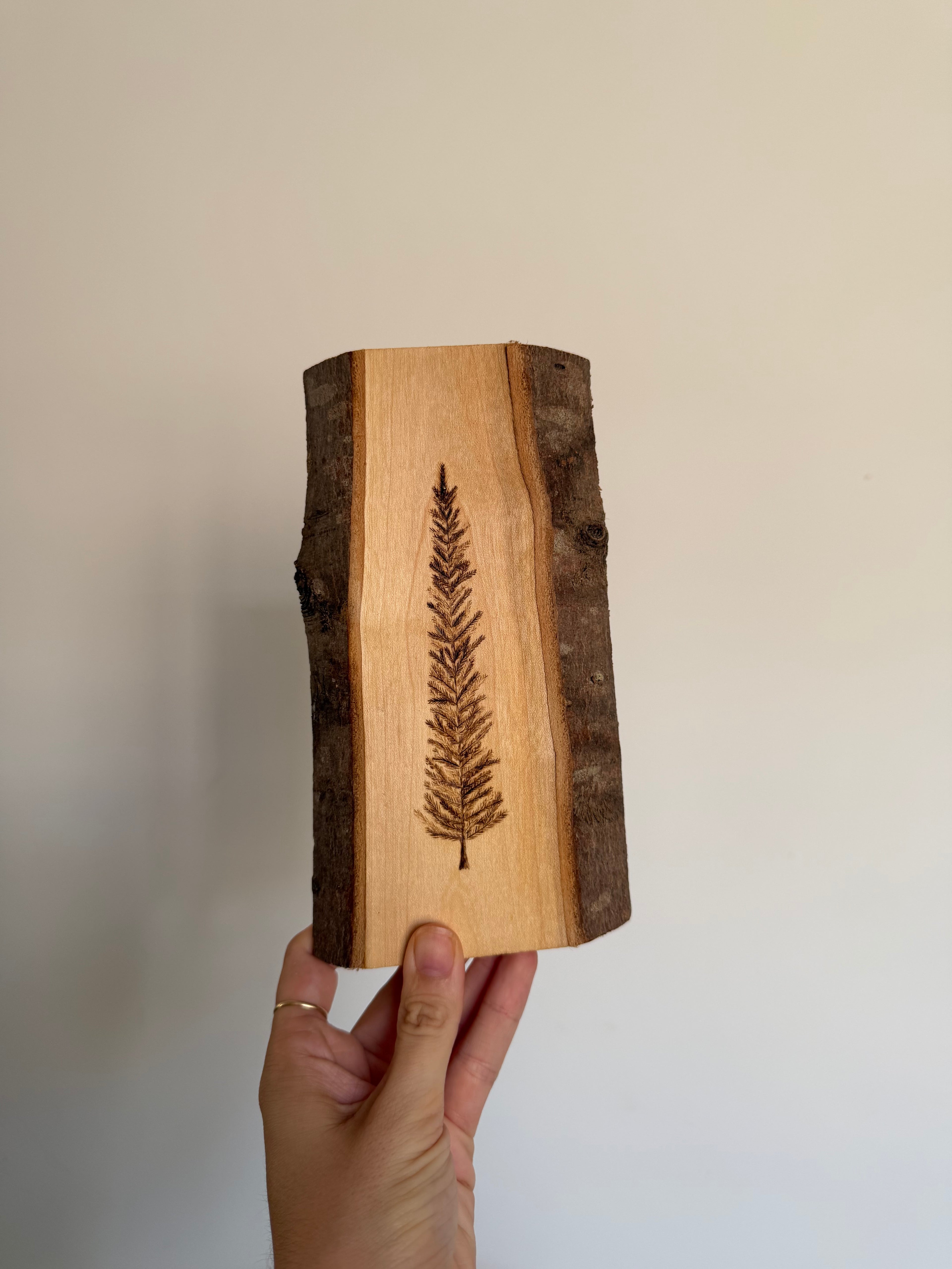 Wooden Christmas Seconds