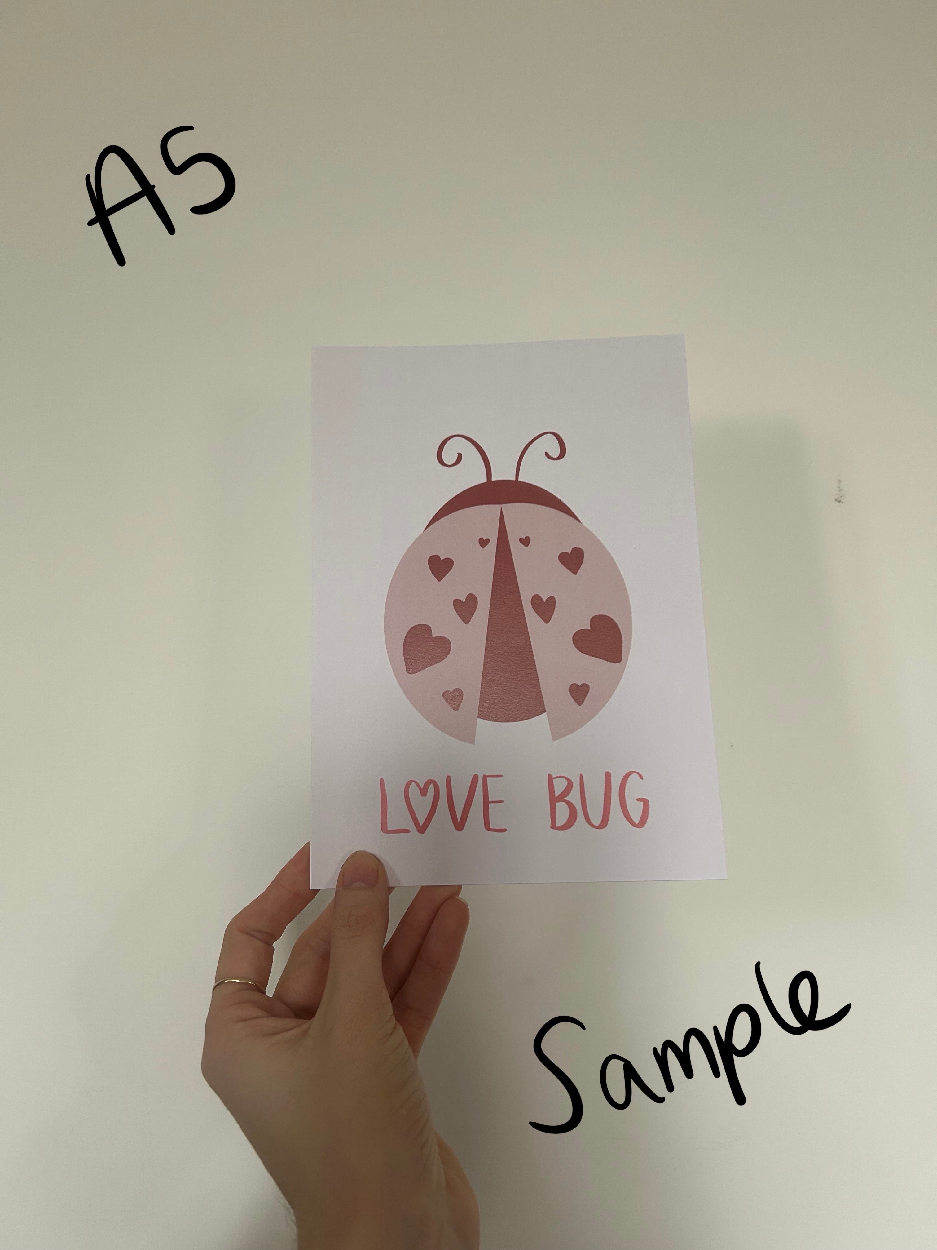 Seconds & Sample Sale
